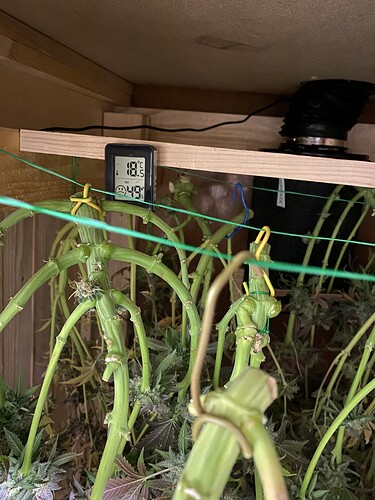 Growreport Bild 32