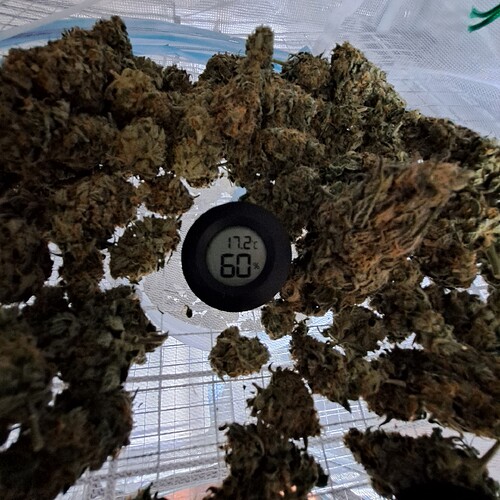 Growreport Bild 26