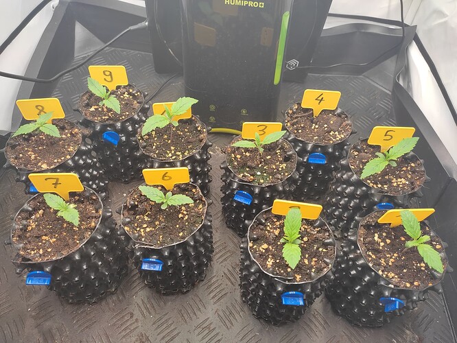 Growreport Bild 4
