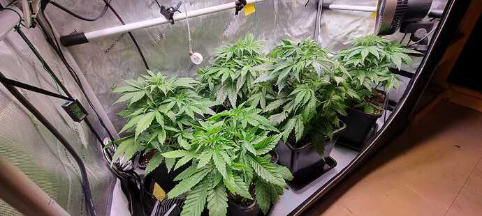 WhatsApp Image 2025-12-16 at 12.54.00 (2)