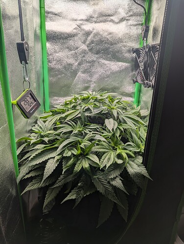 PXL_20241009_182125974