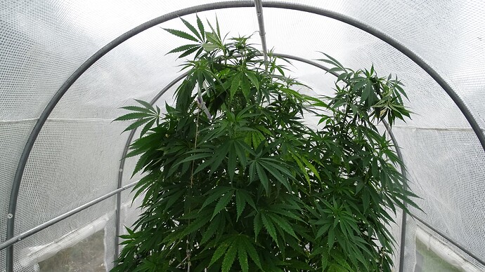 Growreport Bild 6