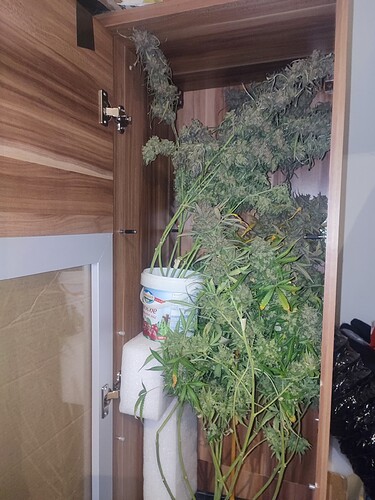 Growreport Bild 21