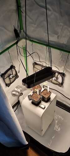 WhatsApp Image 2024-04-28 at 18.51.13(3)