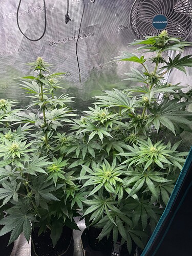 Growreport Bild 10