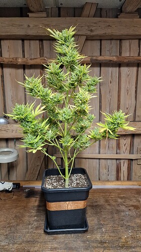 Growreport Bild 4