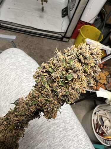 Growreport Bild 2