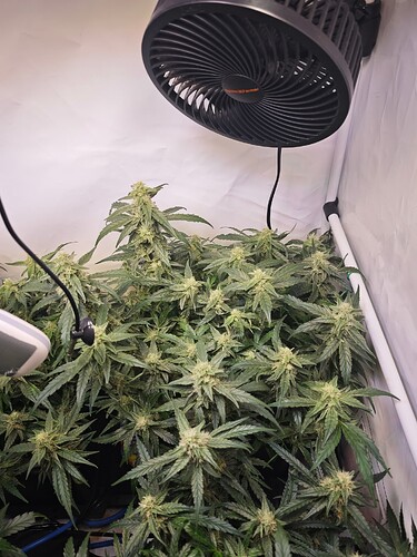 MVIMG_20251107_163546