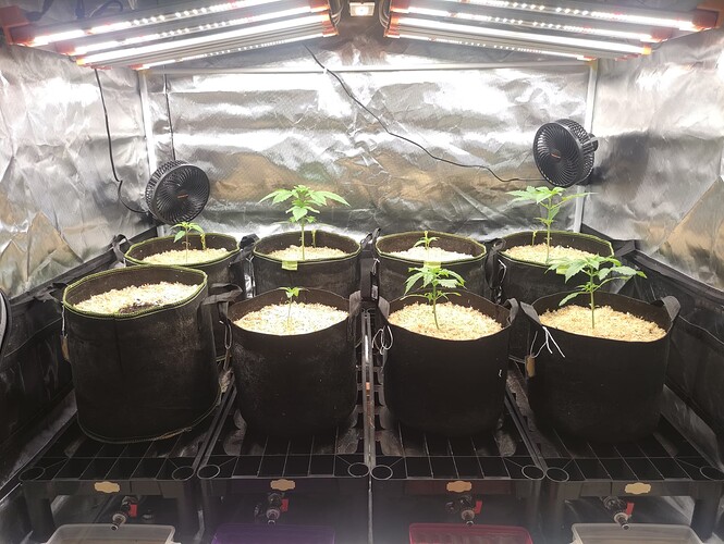 Growreport Bild 12