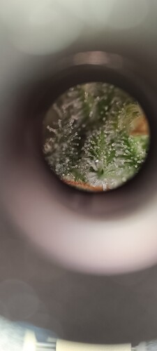Growreport Bild 3
