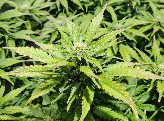Growreport Bild 8