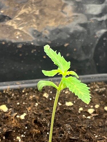 Growreport Bild 8