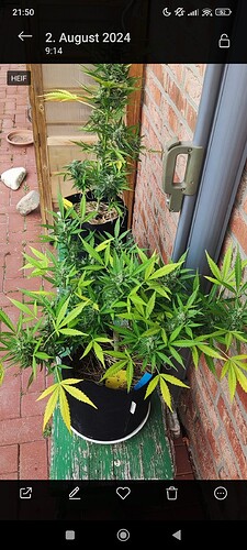 Screenshot_2024-08-15-21-50-59-245_com.miui.gallery