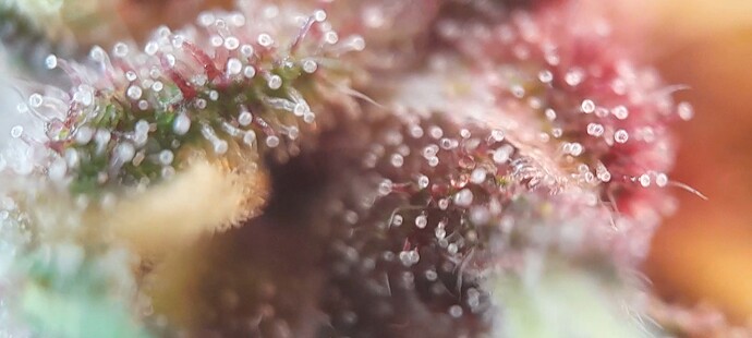 Growreport Bild 10