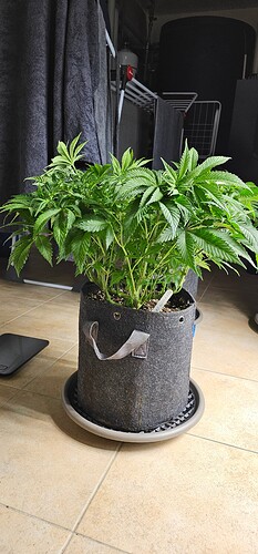 Growreport Bild 5