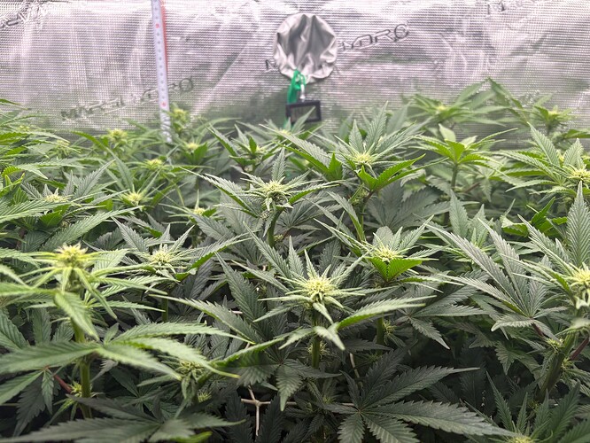 Foto 03.01.26, 06 32 00