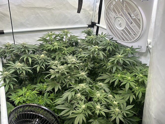 Growreport Bild 13