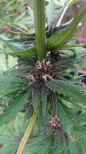 Growreport Bild 14