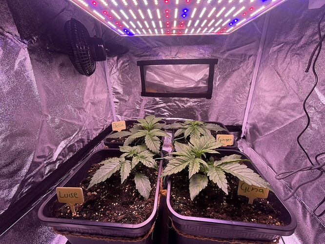 Growreport Bild 9