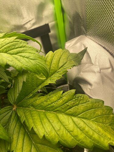 WhatsApp Bild 2024-04-21 um 08.48.38_3a77f440