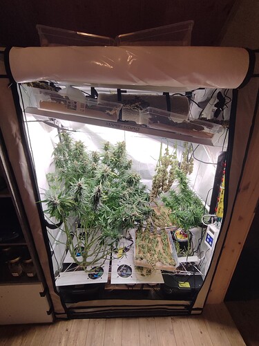 Growreport Bild 3