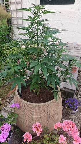 Growreport Bild 73
