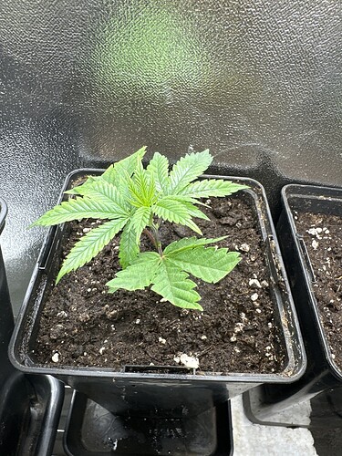 Growreport Bild 19