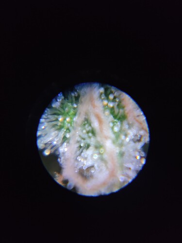 Growreport Bild 21
