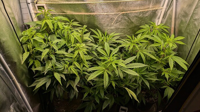 Growreport Bild 9
