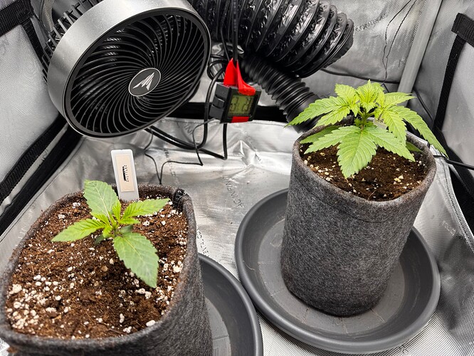 Growreport Bild 2