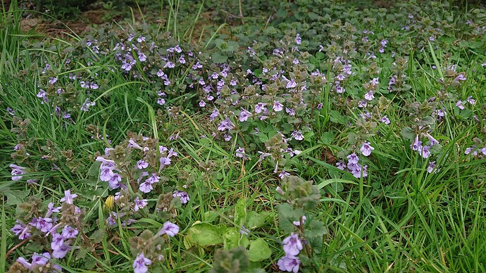 Growreport Bild 8