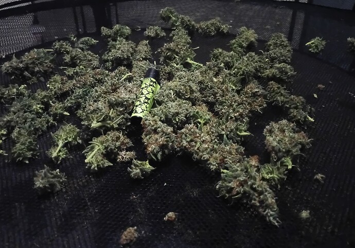 Growreport Bild 13