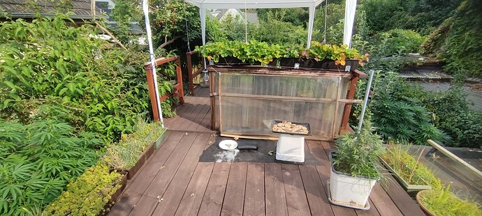 Growreport Bild 5