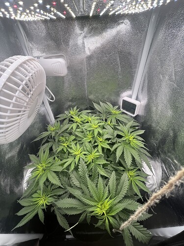 Growreport Bild 2