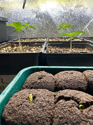 Growreport Bild 19
