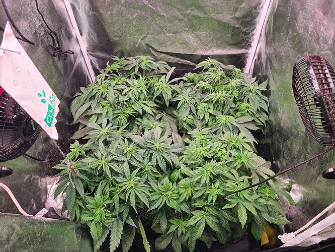 Growreport Bild 1