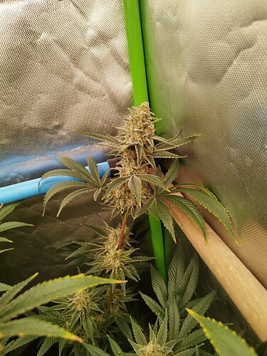 Growreport Bild 21
