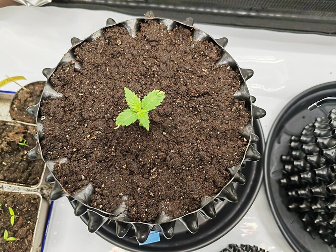 Growreport Bild 21