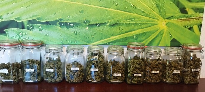 Growreport Bild 1