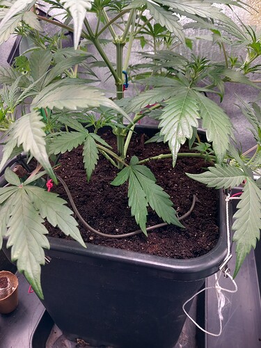 Growreport Bild 18