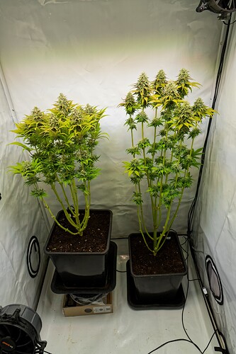 Growreport Bild 12