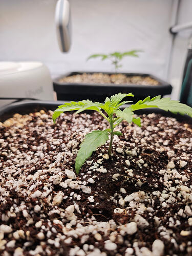 Growreport Bild 26