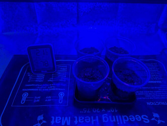 photo_2025-02-24_17-38-04