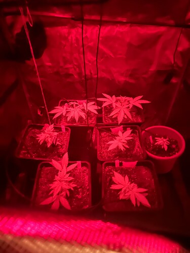 Growreport Bild 21