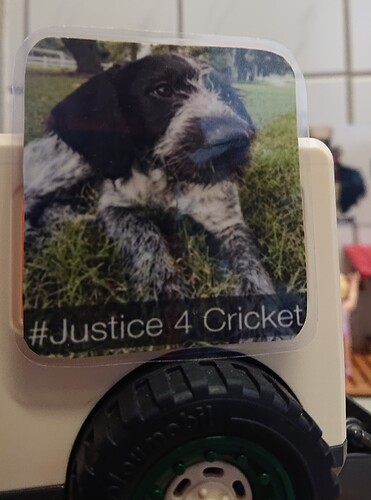 TruckCricket