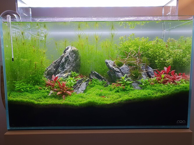 Growreport Bild 27