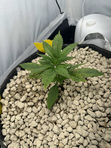 20240424_042957374_iOS