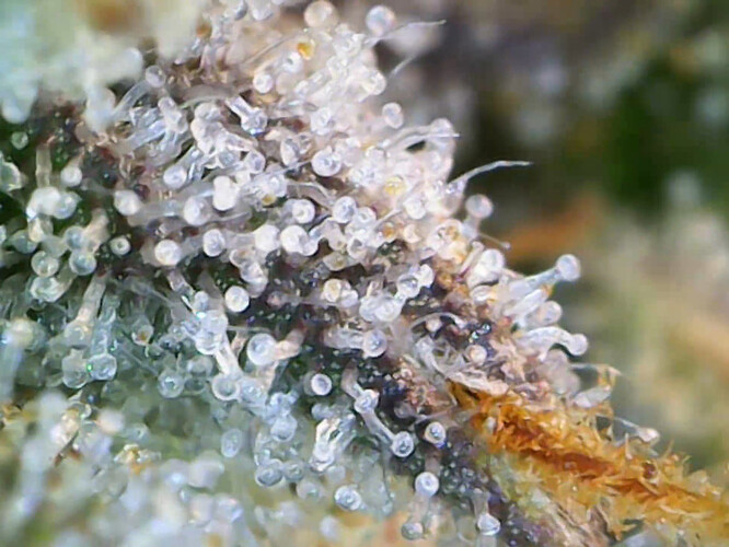 Growreport Bild 15