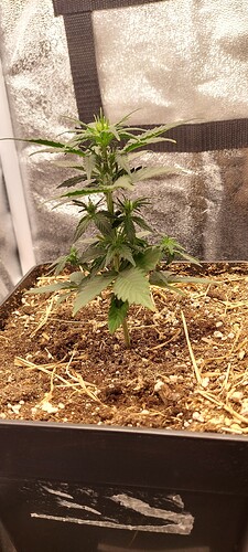 Growreport Bild 14