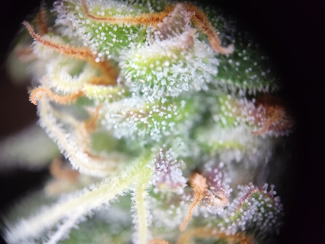 Growreport Bild 15